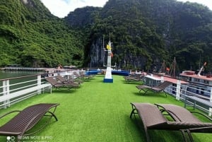 Vanuit Hanoi: Halong Bay 1 dagtocht Bezoek grot, eiland, kajak