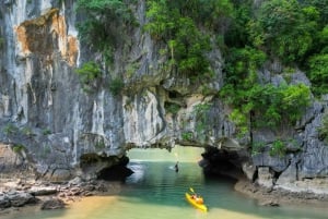 Cat Ba: trasferimento in bus navetta da/per Ninh Binh
