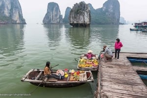 ハノイ発：ハロン湾の日帰りツアー、ランチと送迎付き