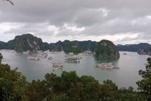 Da Ha Noi: gita di 1 giorno alla Baia di Ha Long con crociera di lusso