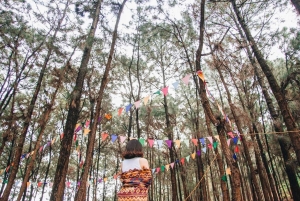 From Hanoi: Ham Lon Mountain Trekking Tour