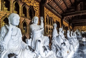 Vanuit Hanoi: Hoa Lu, Bai Dinh, Trang An, Tam Coc en Mua Cave