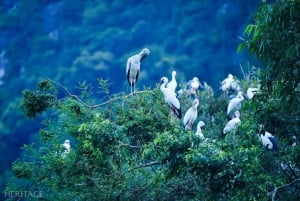 Z Hanoi: Halong Seaplane+ Luksusowy rejs wycieczkowy