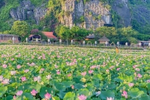 Z Hanoi: Halong Seaplane+ Luksusowy rejs wycieczkowy