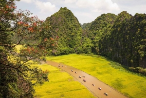 Fra Hanoi: Hoa Lu, Tam Coc, Mua-hulen og sykling i Ninh Binh
