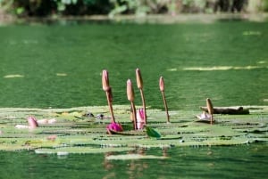 Z Hanoi: Wycieczka do Hoa Lu/Bai Dinh-Tam Coc/Trang An-Jaskinia Mua