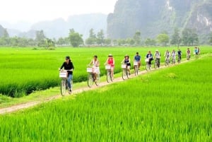 Da Hanoi: Viaggio a Ninh Binh con ciclismo e pranzo a buffet