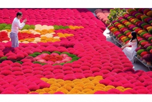 Fra Hanoi: Røkelseslandsby og toggate - liten gruppetur