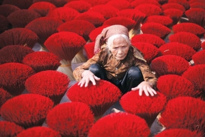 Fra Hanoi: Røkelseslandsby og toggate - liten gruppetur