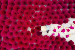 Fra Hanoi: Røkelseslandsby og toggate - liten gruppetur