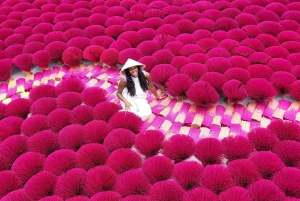 Fra Hanoi: Røkelseslandsby og toggate - liten gruppetur