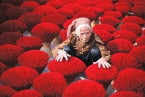 Fra Hanoi: Røkelseslandsby og toggate - liten gruppetur