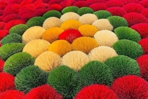 Fra Hanoi: Røkelseslandsby og toggate - liten gruppetur