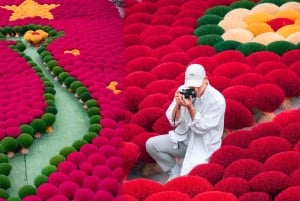 Fra Hanoi: Røkelseslandsby og toggate - liten gruppetur