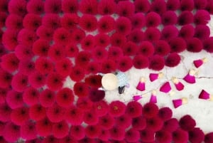 Fra Hanoi: Røkelseslandsby og toggate - liten gruppetur