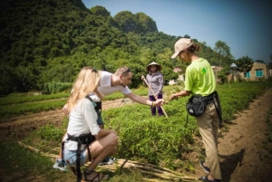 Fra Hanoi: Bådtur i Lan Ha-bugten med grillmad og kajaksejlads