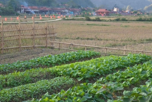 Von Hanoi: Lang Son UNESCO Geopark & Tagestour auf dem Land