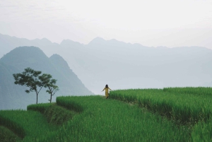 Fra Hanoi: Mai Chau og Pu Luong 2-dages tur med måltider