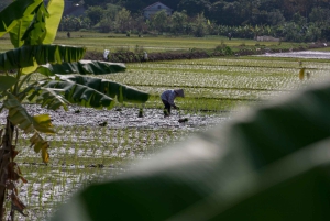 From Hanoi: Mai Chau, Chieng Chau, Ngoi Hoa 3-Days Tour