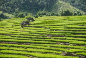 From Hanoi: Mai Chau, Chieng Chau, Ngoi Hoa 3-Days Tour