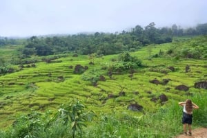 ハノイ発 マイチャウ：マイチャウ 1日 グループまたはプライベートツアー