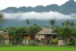 Au départ de Hanoi : excursion à vélo dans la vallée de Mai Chau