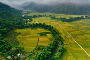 Au départ de Hanoi : excursion à vélo dans la vallée de Mai Chau