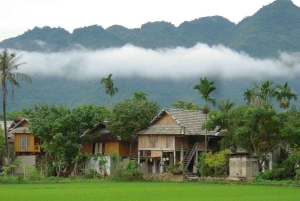 Au départ de Hanoi : excursion à vélo dans la vallée de Mai Chau