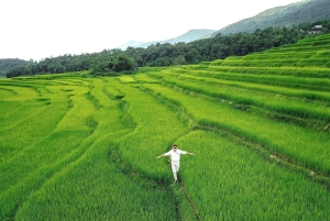 Au départ de Hanoi : excursion à vélo dans la vallée de Mai Chau