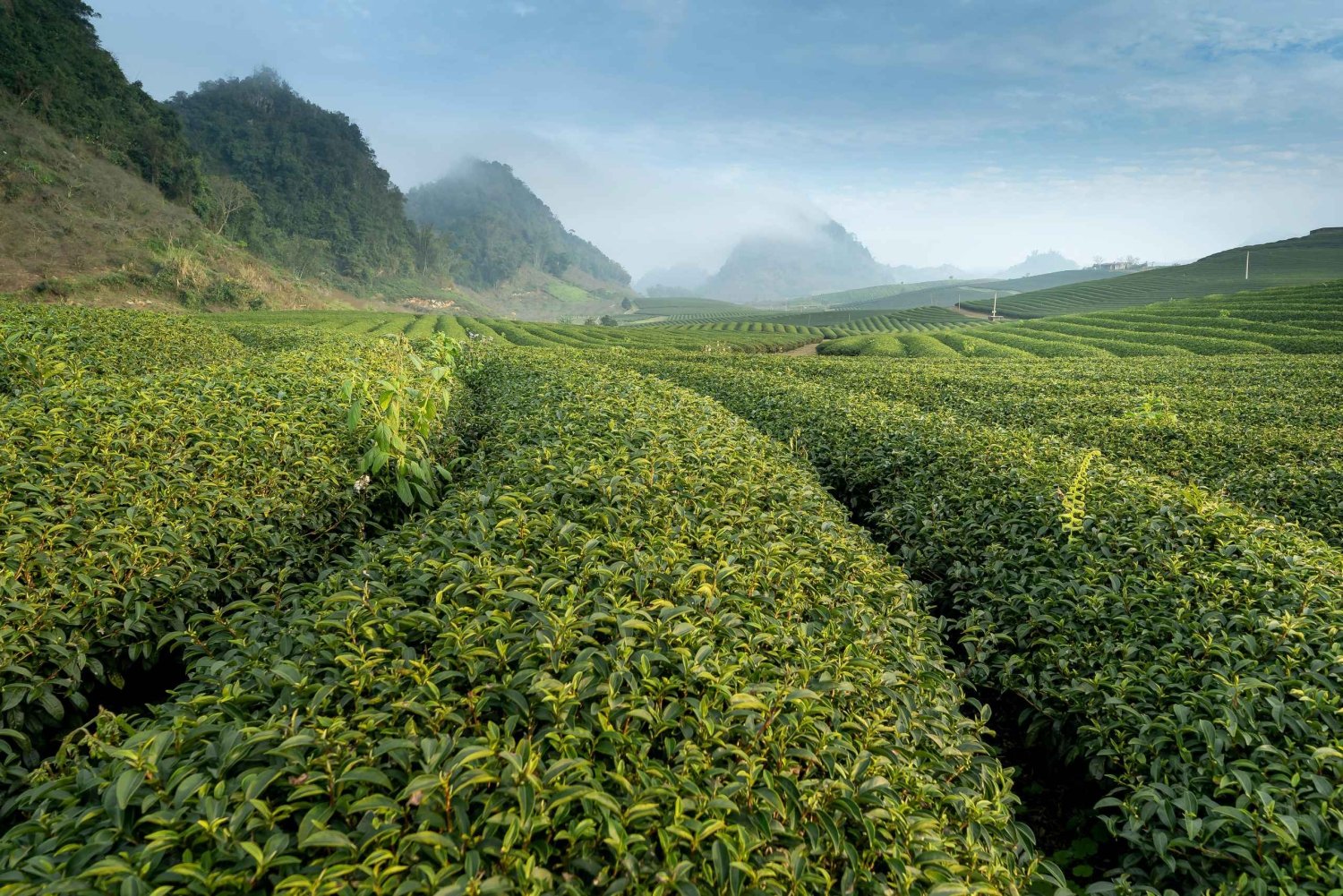 From Hanoi: Moc Chau 3-Day Guided Tour