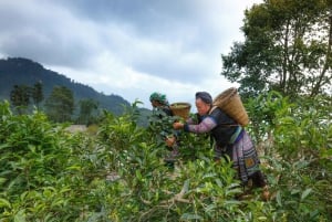 Fra Hanoi: 3-dages guidet tur til Moc Chau