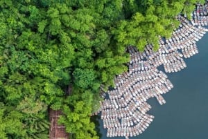 Из Ханоя: однодневная поездка в пещеру Муа, Чанган и Хоалы