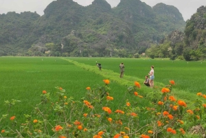 Из Ханоя: однодневная поездка в пещеру Муа, Чанган и Хоалы