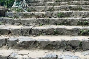 Из Ханоя: однодневная поездка в пещеру Муа, Чанган и Хоалы