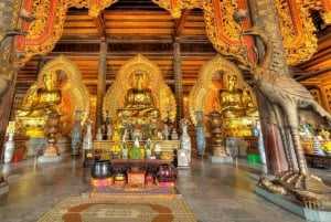 Fra Ninh Binh: Dagstur til Cuc Phuong nasjonalpark