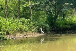 Fra Ninh Binh: Dagstur til Cuc Phuong nasjonalpark