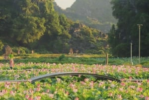 From Hanoi: 2-Day Ninh Binh Tour w/ Trang An & 5★ Hotel