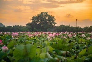 From Hanoi: 2-Day Ninh Binh Tour w/ Trang An & 5★ Hotel