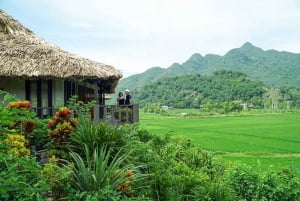 From Hanoi: 2-Day Ninh Binh Tour w/ Trang An & 5★ Hotel