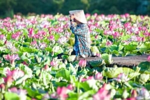 Vanuit Hanoi: Ninh Binh Bai Dinh of Hoa Lu, Trang An, Mua-grot