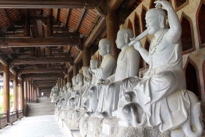 Da Hanoi: Tour di Ninh Binh & Bai Dinh & Trang An & Grotte di Mua