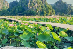 Da Hanoi: Tour di Ninh Binh & Bai Dinh & Trang An & Grotte di Mua