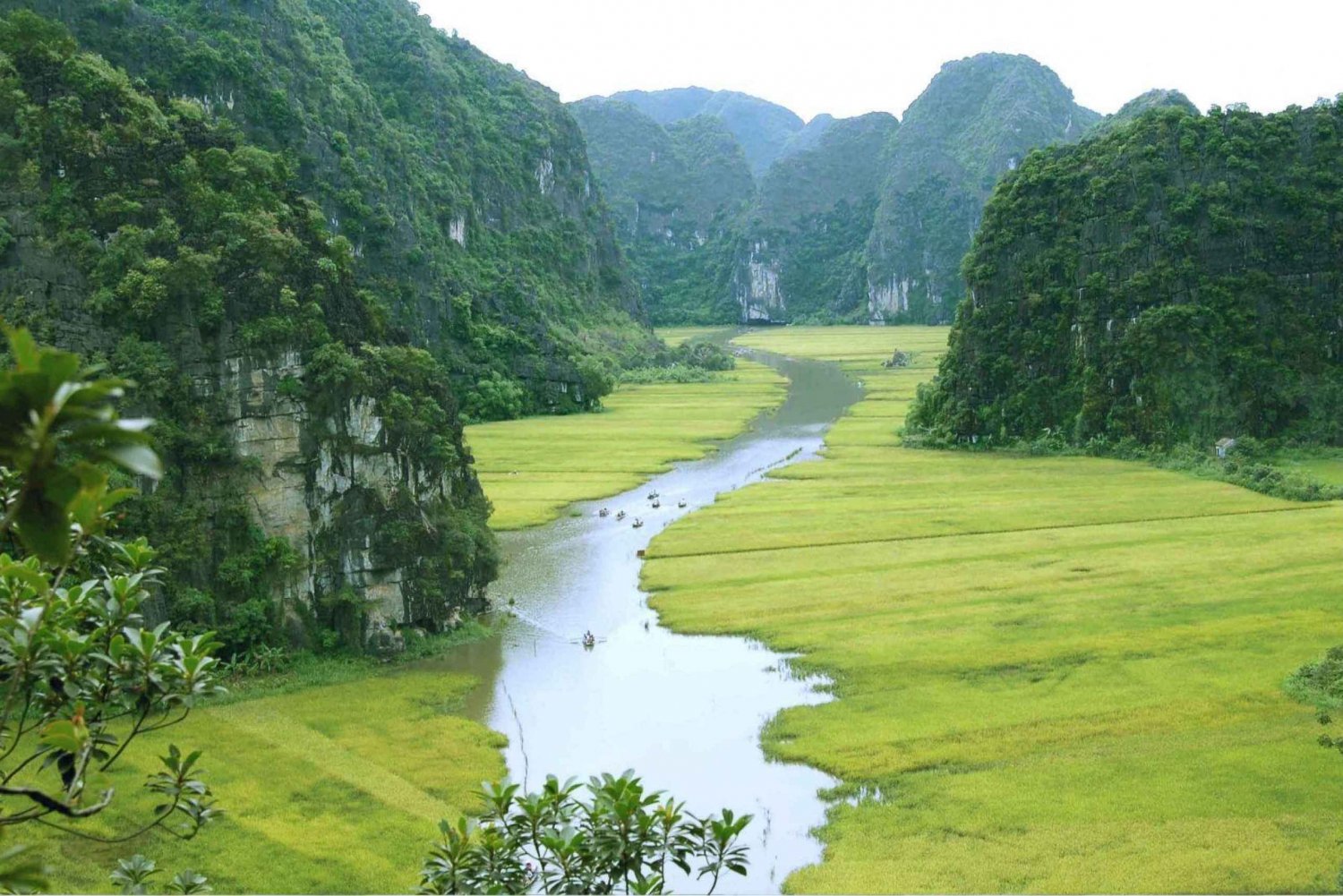 Da Hanoi: tour di 2 giorni del Parco Nazionale di Ninh Binh e Cuc Phuong