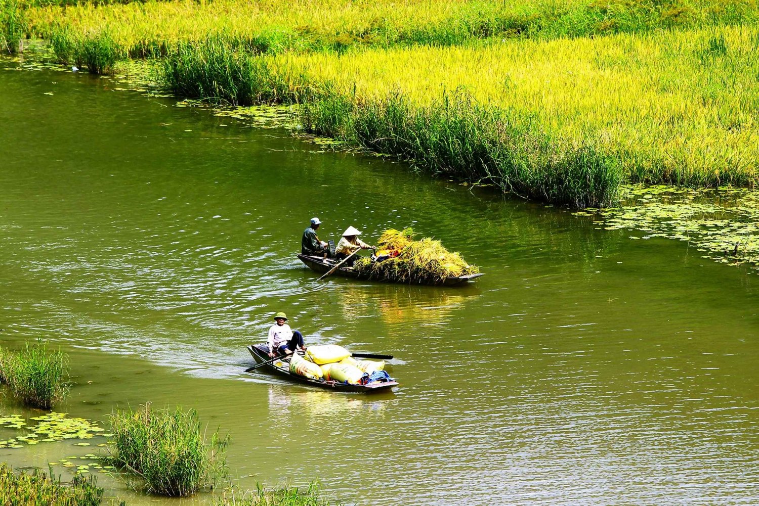 From Hanoi: Ninh Binh Full Day From Hanoi Including Transfer