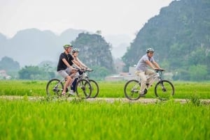 Au départ de Hanoï : croisière 5 étoiles de 3 jours dans la baie d'Halong - circuit à Ninh Binh