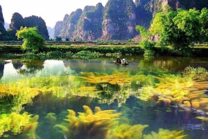 Depuis Hanoi : Ninh Binh, Hoa Lu, Tam Coc et la grotte de Mua