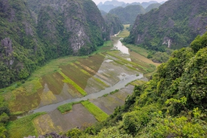 Depuis Hanoi : Ninh Binh, Hoa Lu, Tam Coc et la grotte de Mua