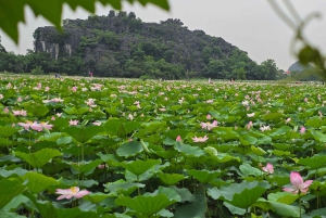 Depuis Hanoi : Ninh Binh, Hoa Lu, Tam Coc et la grotte de Mua