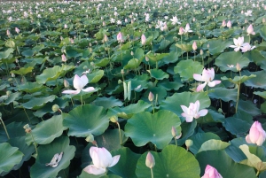 Fra Hanoi: Ninh Binh, Hoa Lu, Tam Coc-bådtur og Mua-grotten