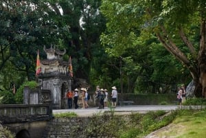 Desde Hanoi: Tour de 1 día a Ninh Binh - Hoa Lu, Tam Coc/Trang An